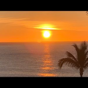 Meet your Posher, Donna lee